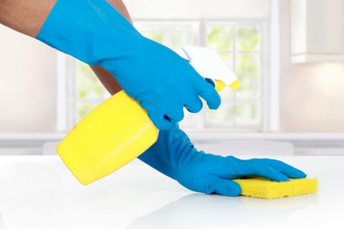 Deep cleaning an oven interior and racks in W8