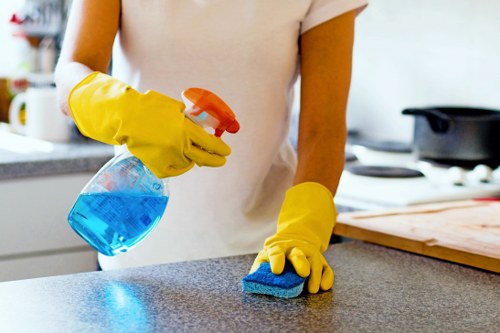 Facade cleaning service for W8 townhouse exteriors
