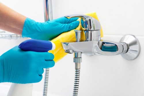 Professional carpet cleaning for pet accidents in W8