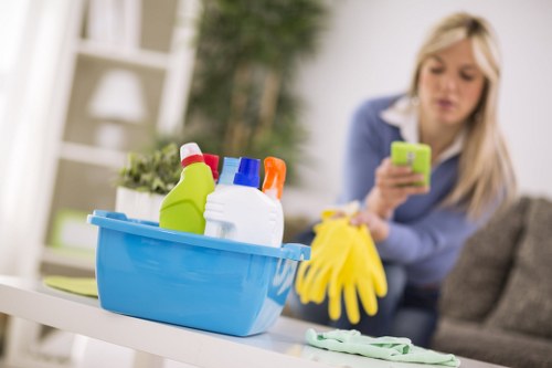 Deep cleaning upholstery after pet stains in W8