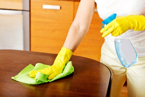 Transparent Cleaners W8 quotes for domestic and commercial waste removal